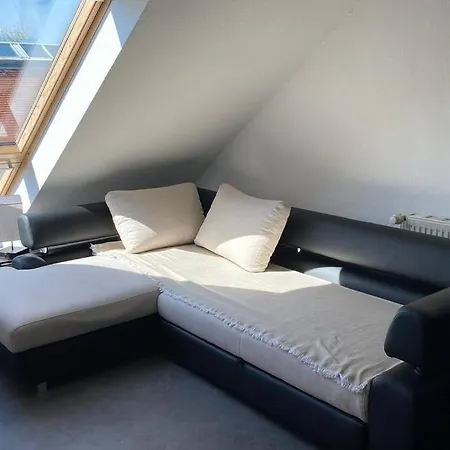 Appartement Wunderschoene Grosszuegige Neustadtwohnung Dresde